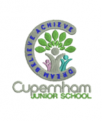 Cupernham Junior School 